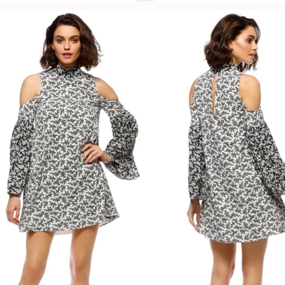 Elliatt Poet Dress